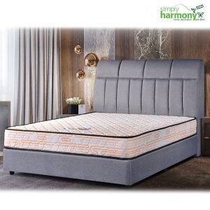 CS 702 Camilia