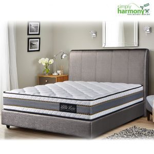 EC 101 Eliana