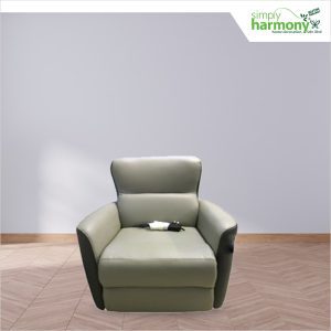 Recliner Sofa 1